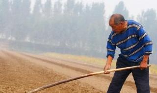 有什么生意赚钱 有什么生意赚钱