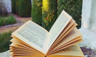 小木虫考研调剂信息 小木虫考研调剂信息