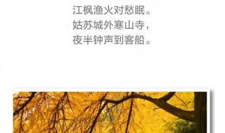 秋天古诗最好的10首 秋天古诗最好的10首