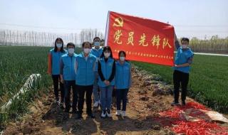 中建八局青岛公司 中建八局青岛公司