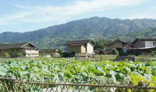 云水谣攻略 云水谣攻略