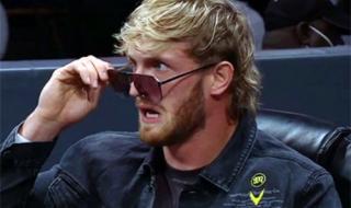 wwe是真的还是假的 wwe是真的还是假的