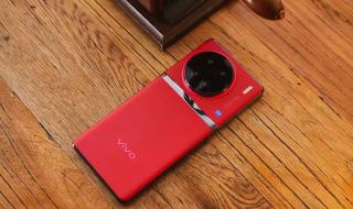 VIVOX100手机外观公布 VIVOX100手机外观公布