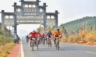 2021年赛事安排一览表 2021年赛事安排一览表